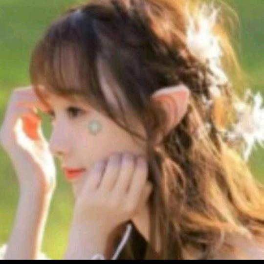 ameihaowufen72