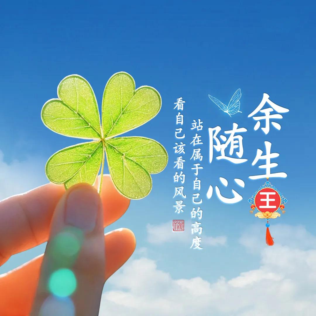一直守护琴（279）
