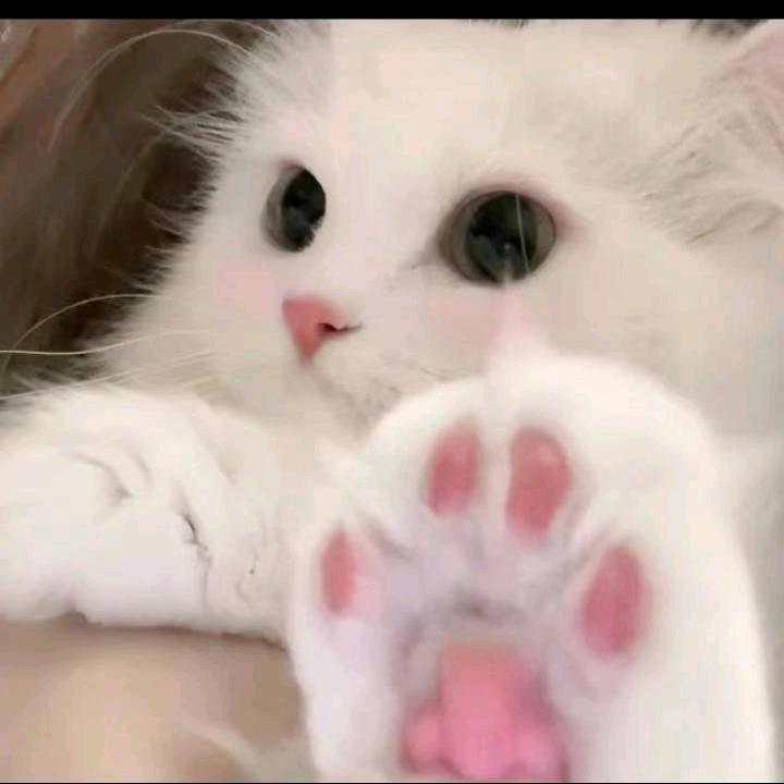 开心快乐每一天