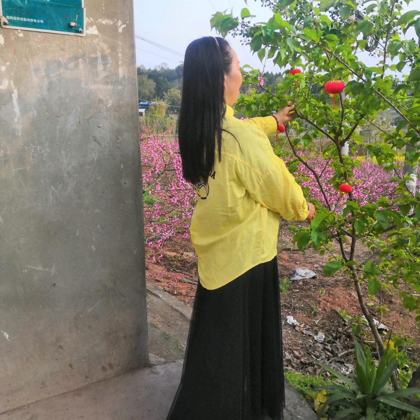杨大姐