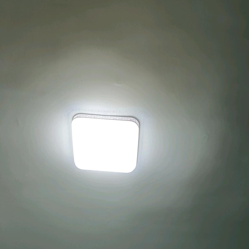 良心