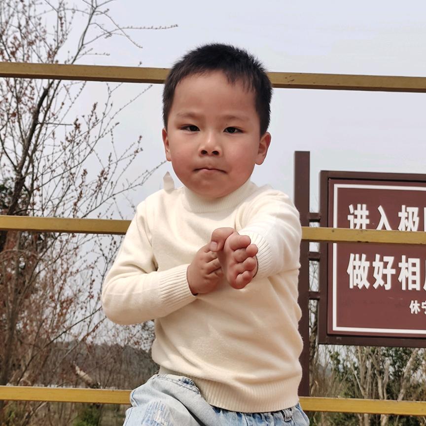 凤