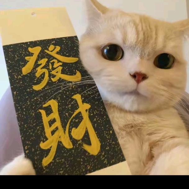 晴儿通讯