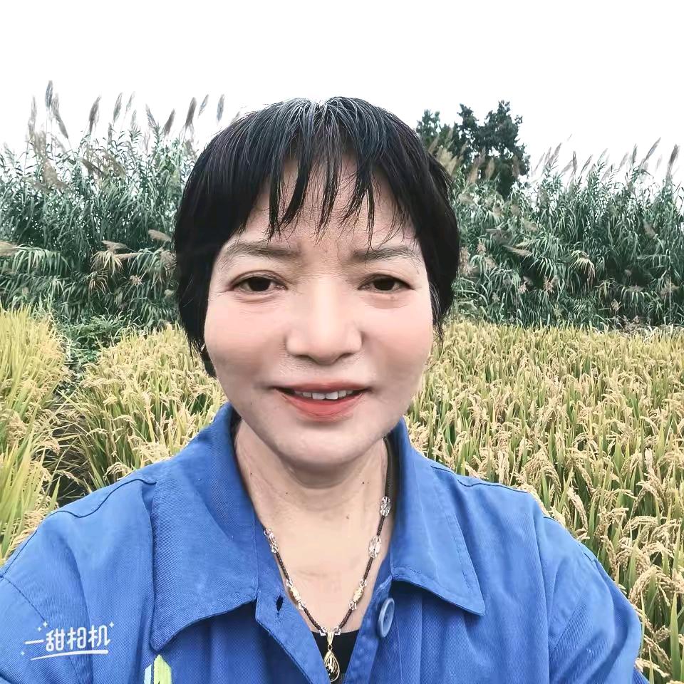 段姐2（大号早上5:20开播）