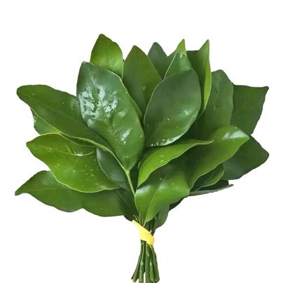 放纵纵纵纵纵纵纵纵纵纵纵纵纵纵纵纵纵纵餐