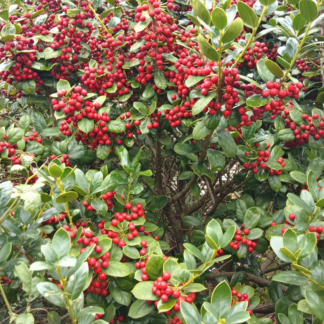 夫人撒个娇🍑🍑🍑