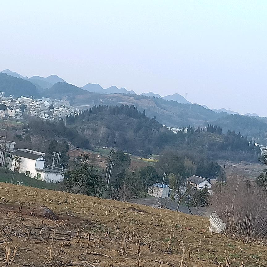 蔡仲群