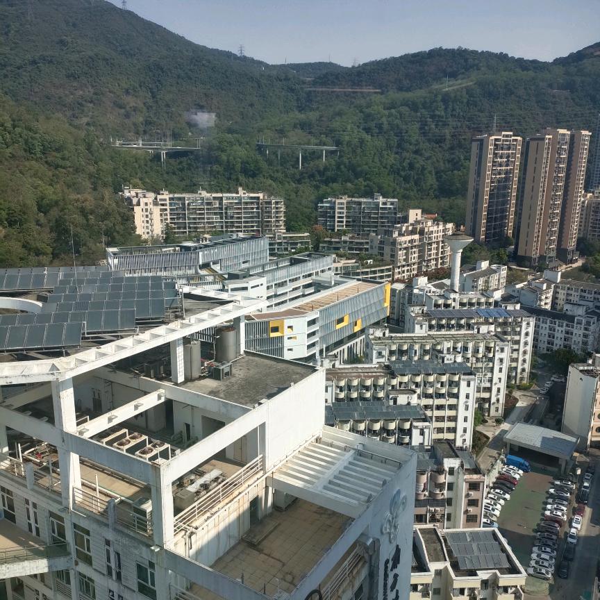 往事清零