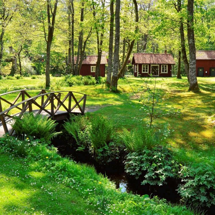 ꧁ღ遇见ོ༼꧉᪲꧂