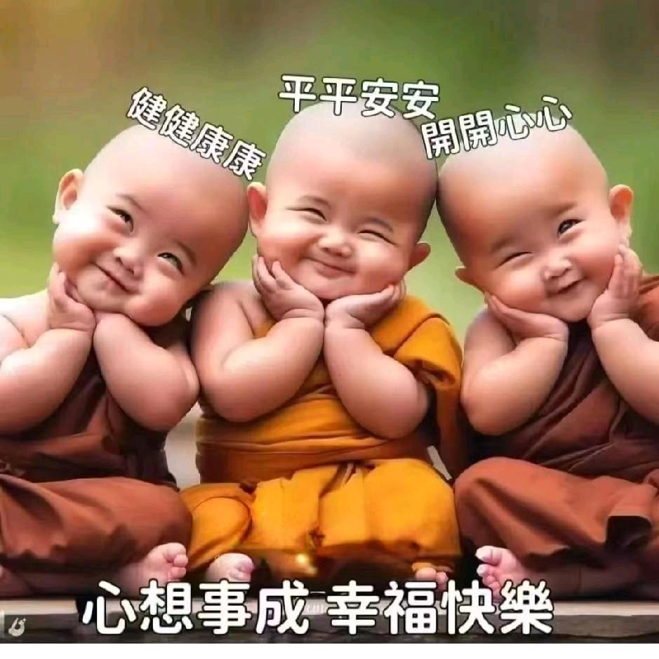 🍀花花🍀