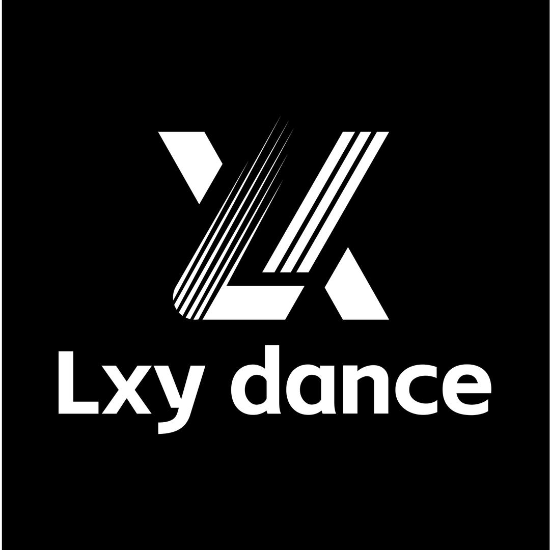 LXY 高级定制（可租）