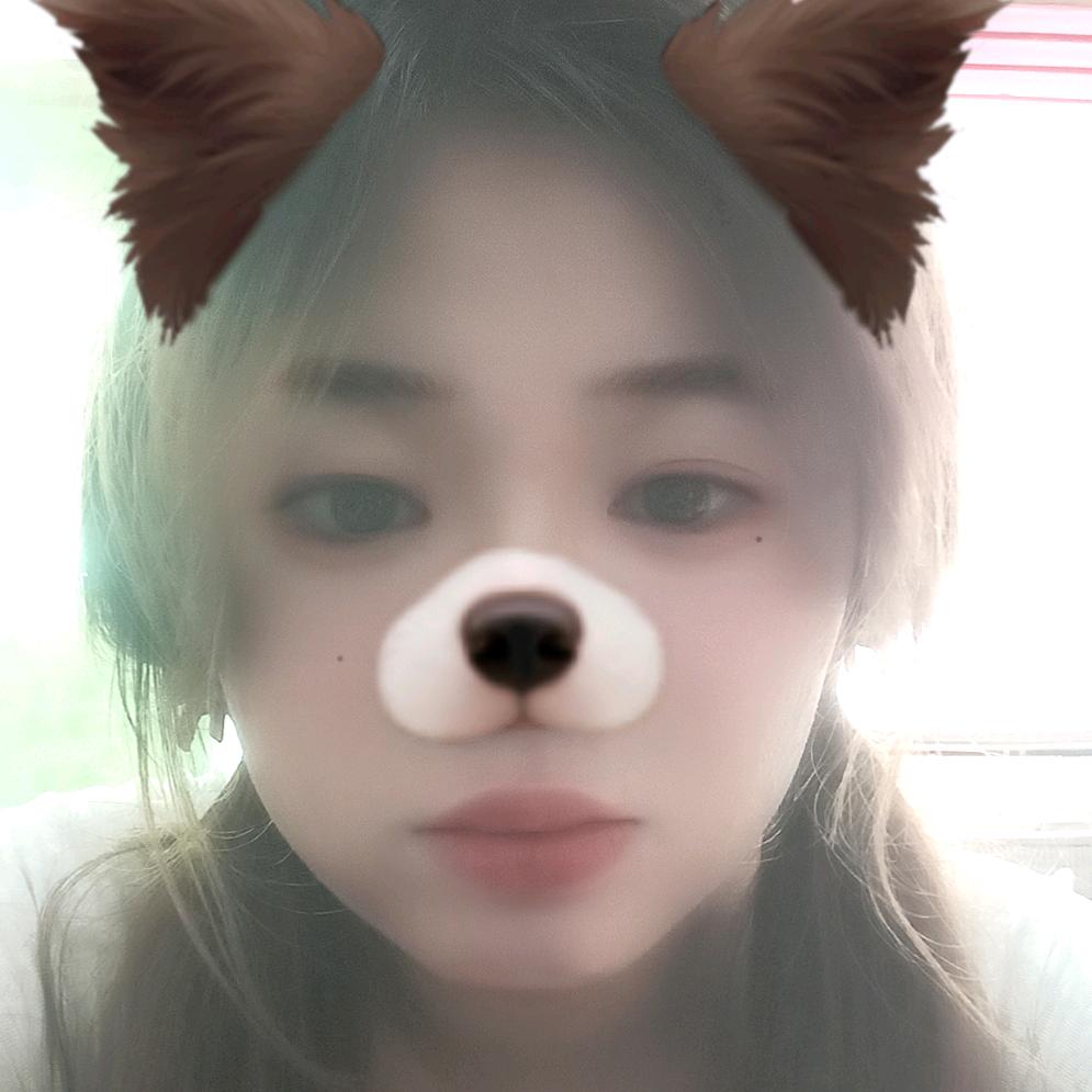 丹丹的日常生活