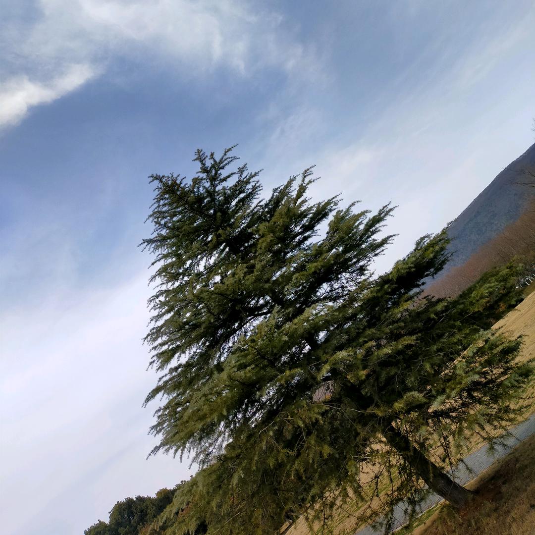 雨中漫步🐰🦄