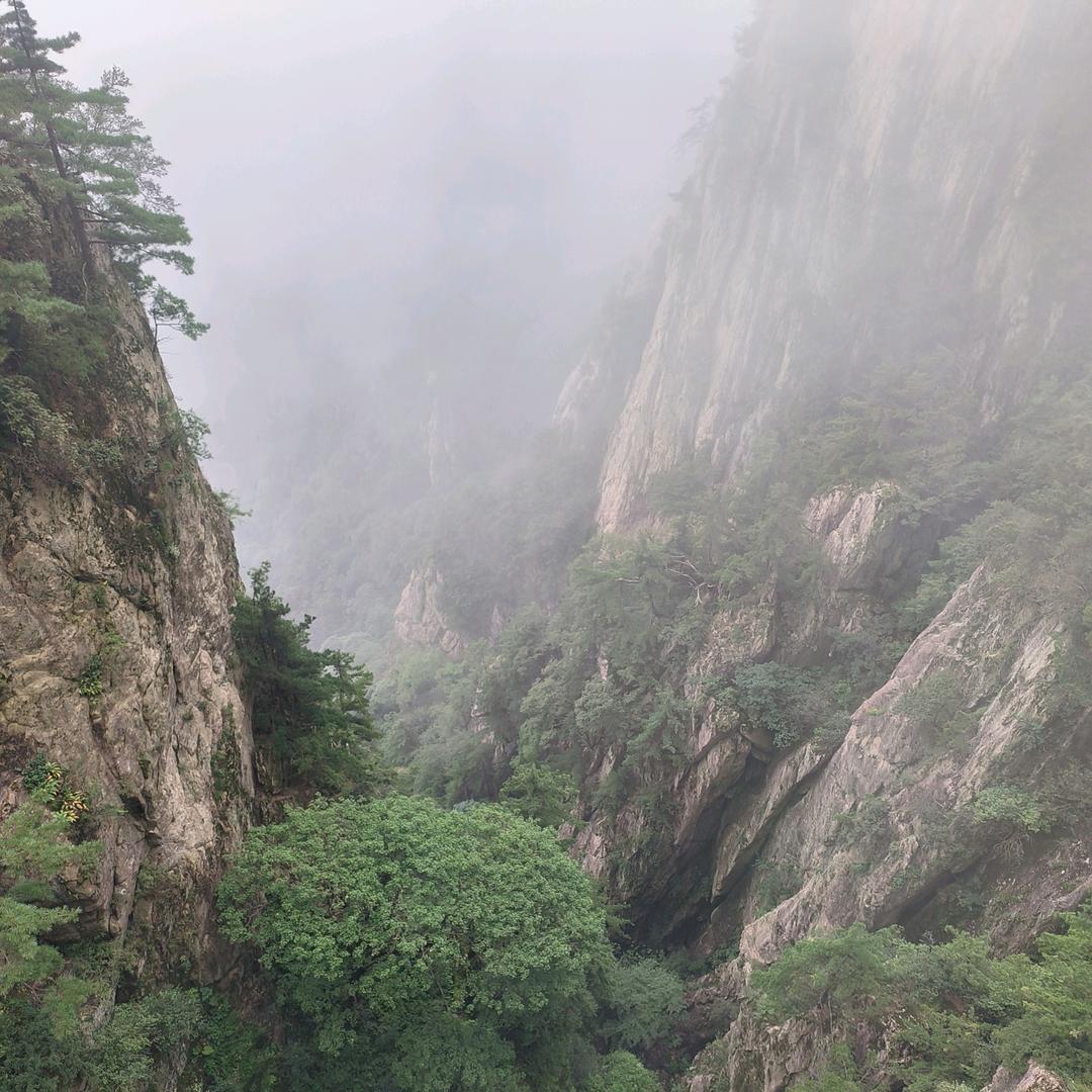 汽车电路维修