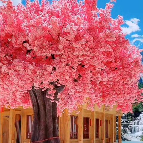 🐮幸福安康🔥