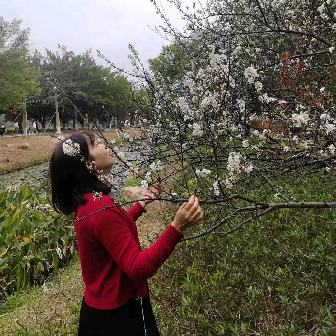 锦上添花