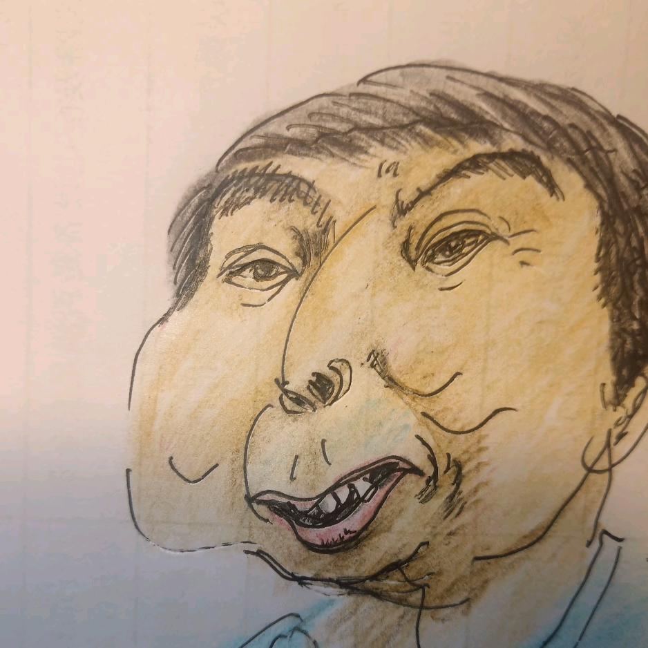 下了个蛋下的蛋