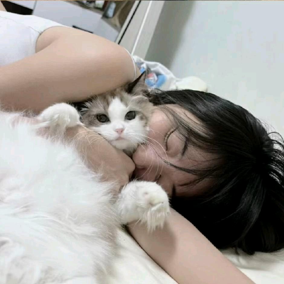 -椿宸-