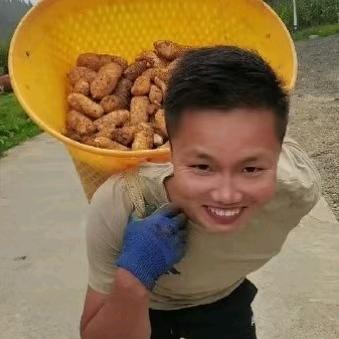 小雄锅《橱窗有好物》