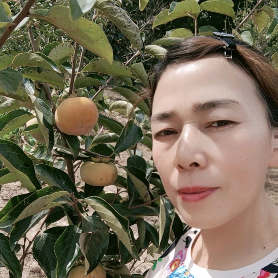 娜姐(日常生活）