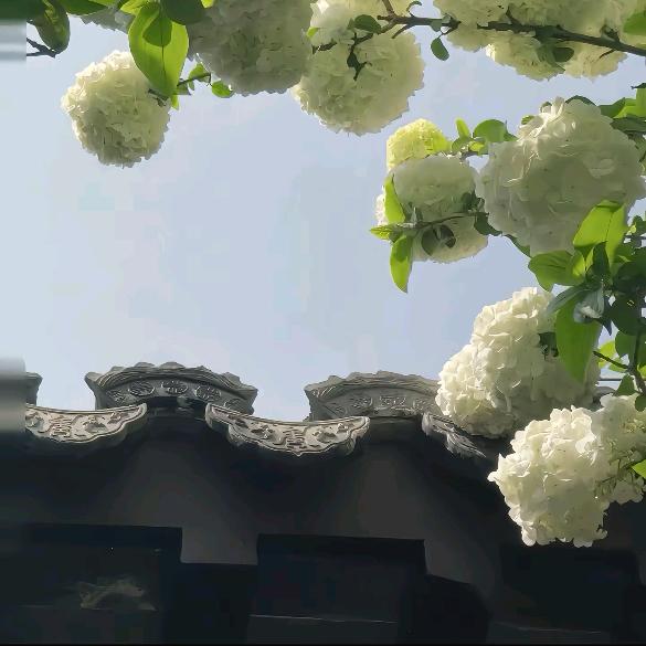 屎到淋头还搅便