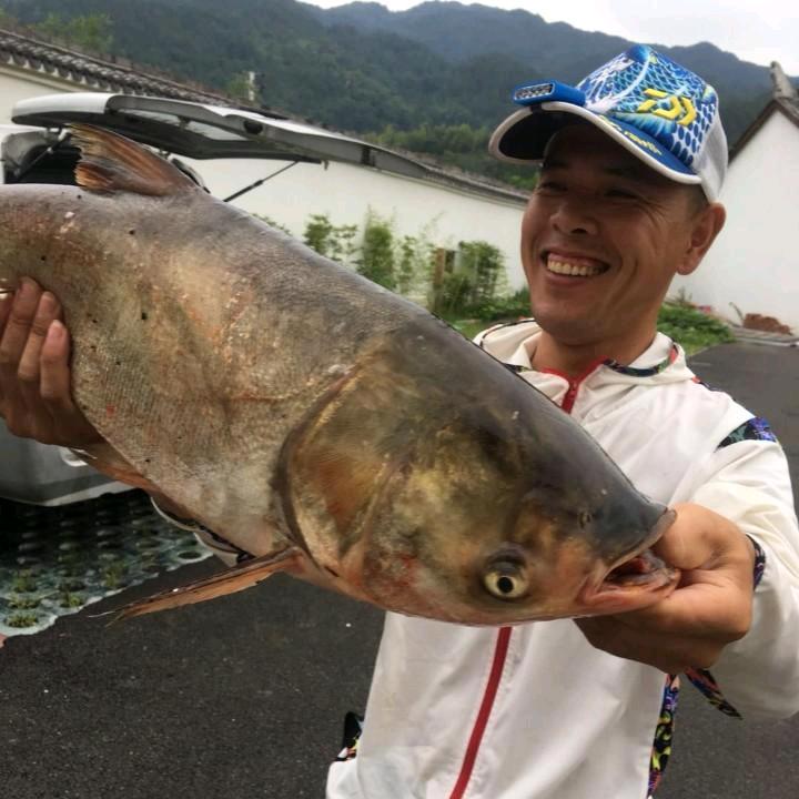 宋✪哥✪爱✪钓✪鱼