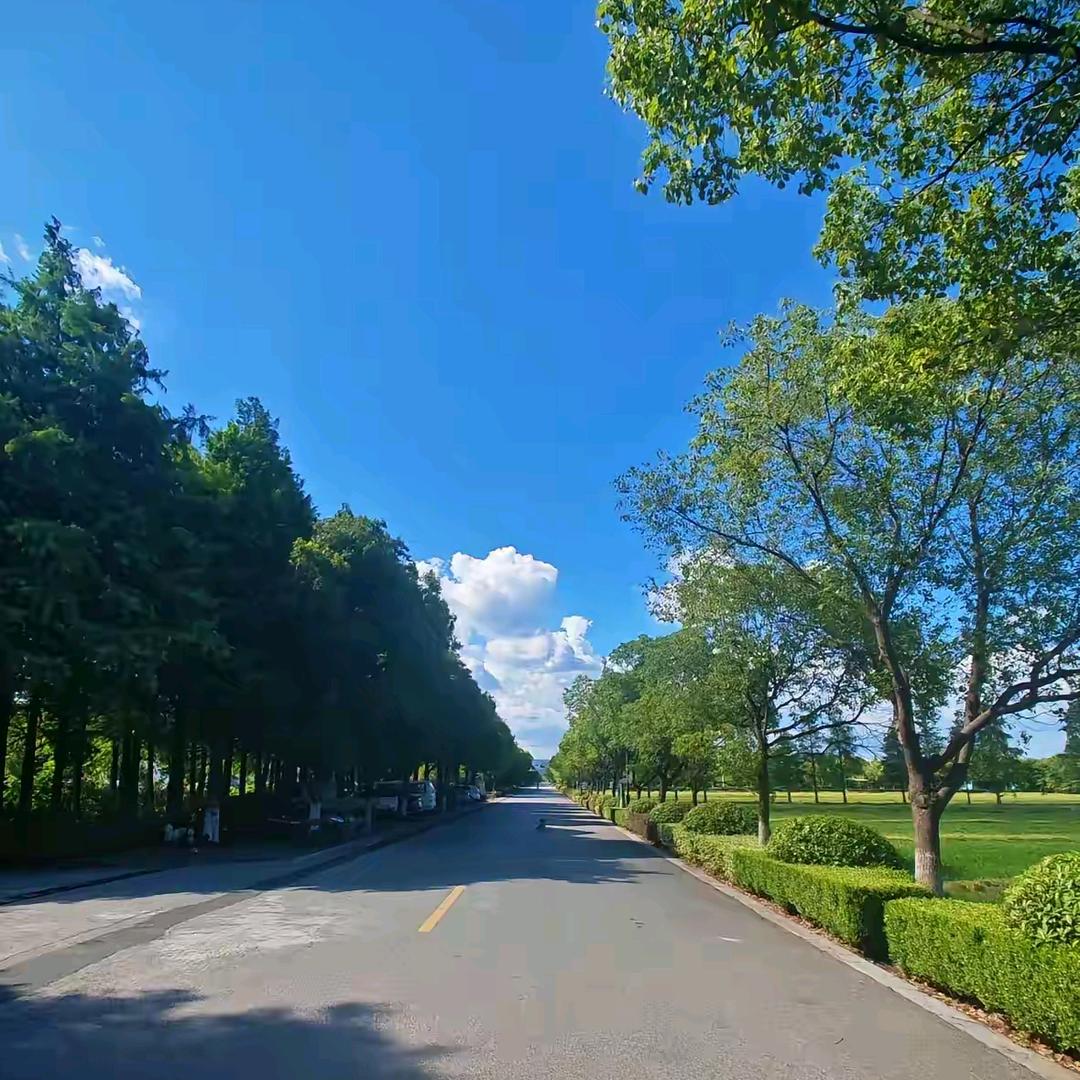 🌞心静则安