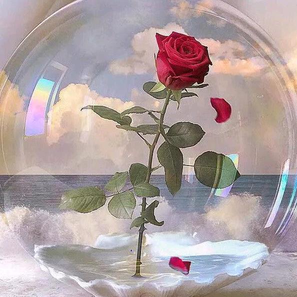 楚楚带你找工作