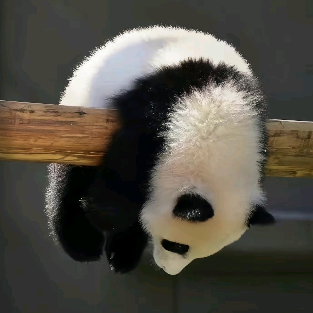 白水红汤
