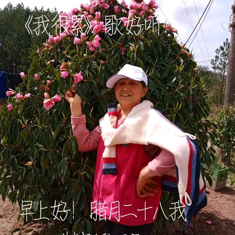 俏争春🥀59年🐖