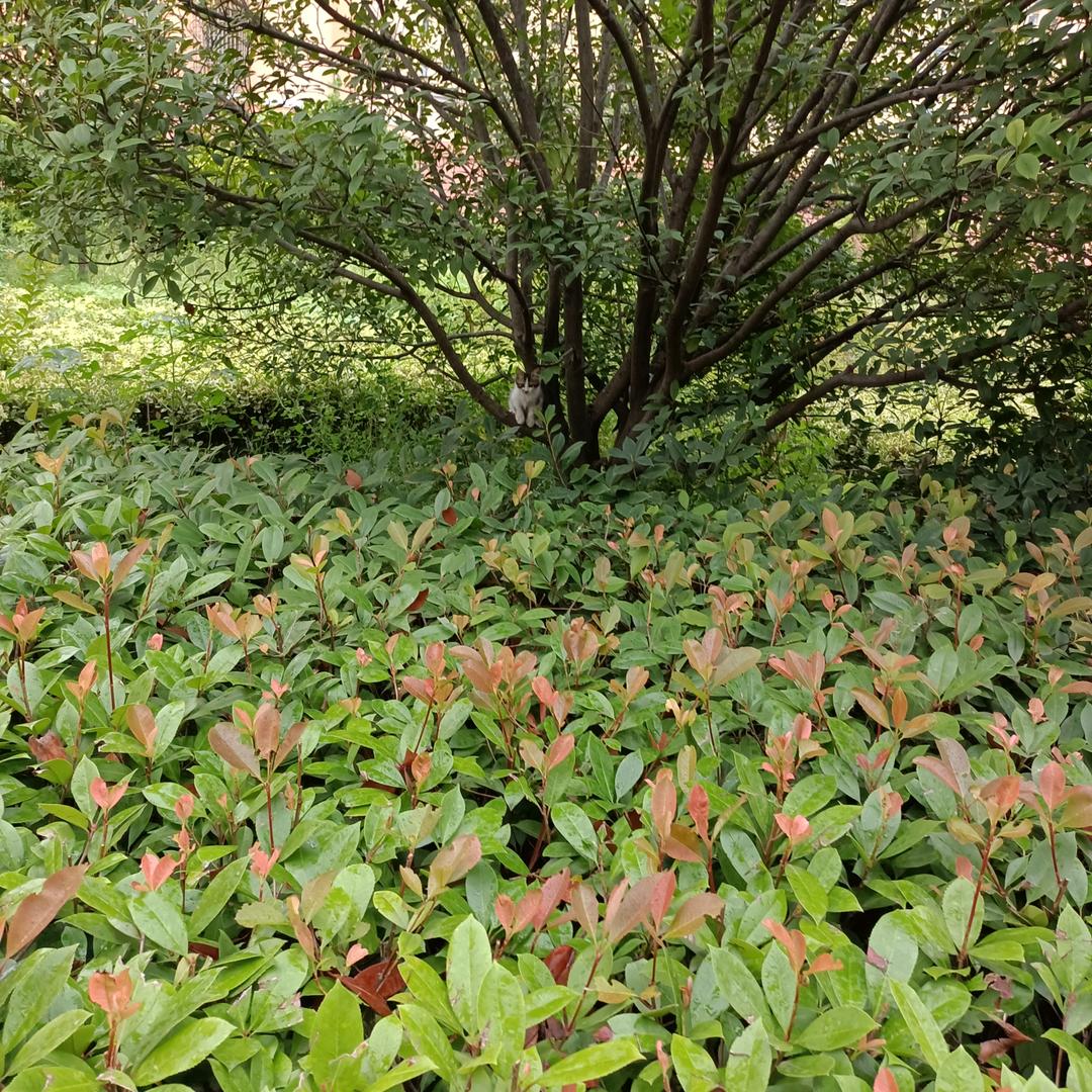 抖来逛