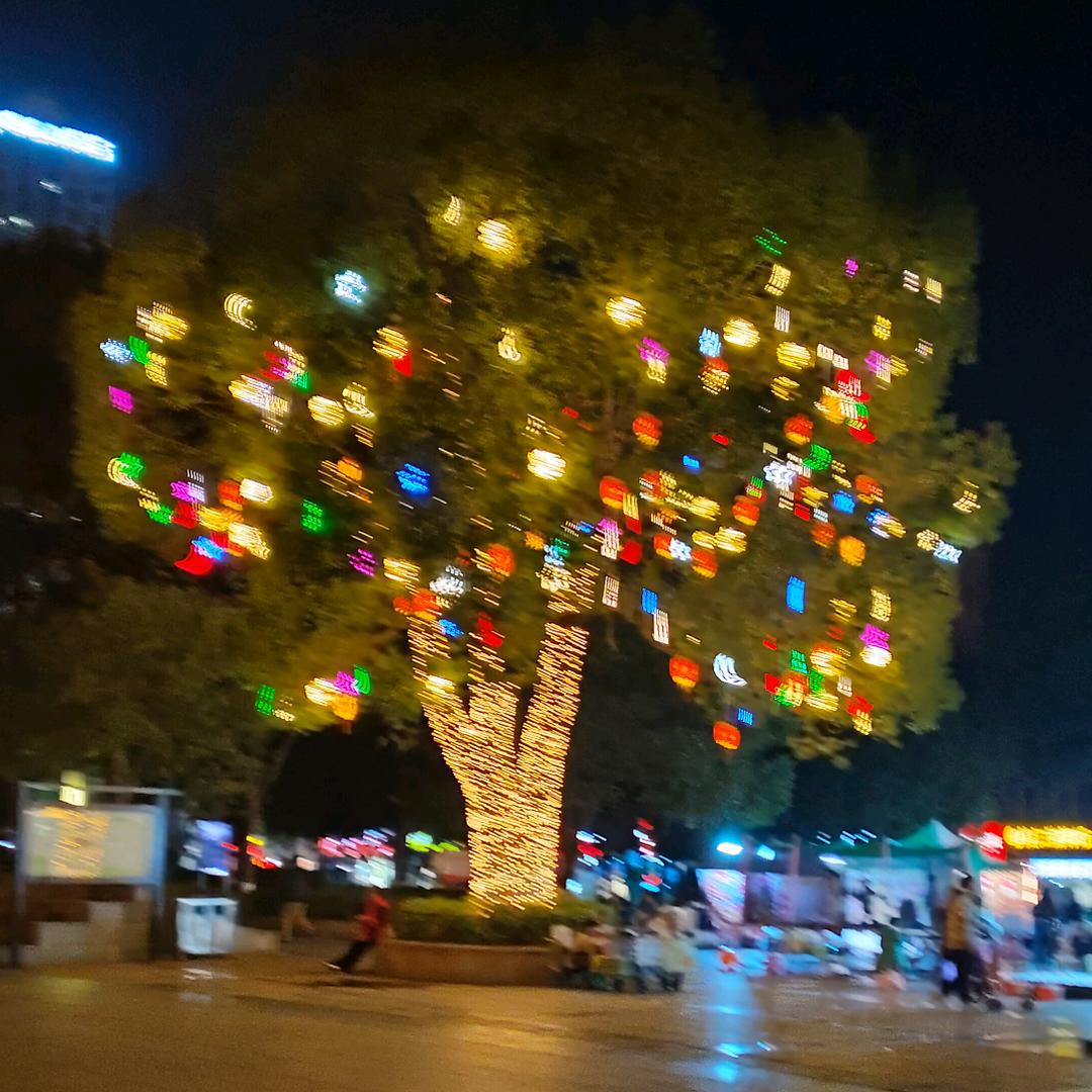 我那破碎的梦