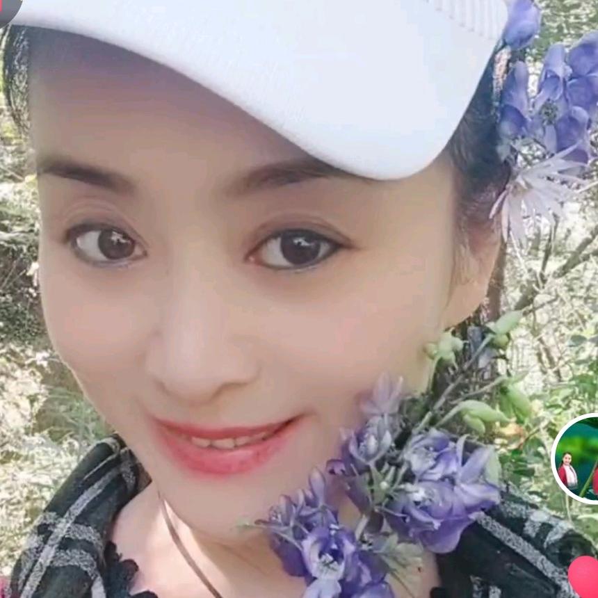 完美姐姐