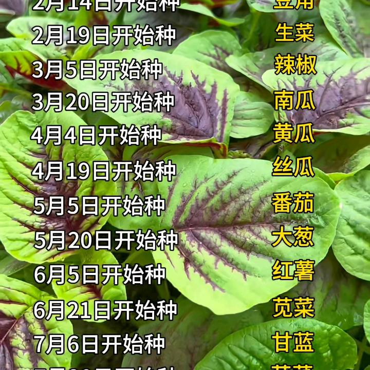 保持觉知和内观