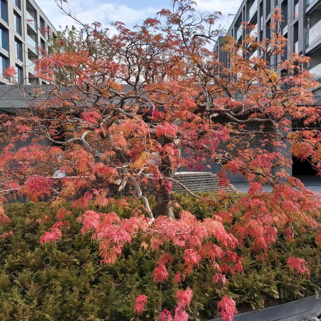 一切随缘，不争不抢