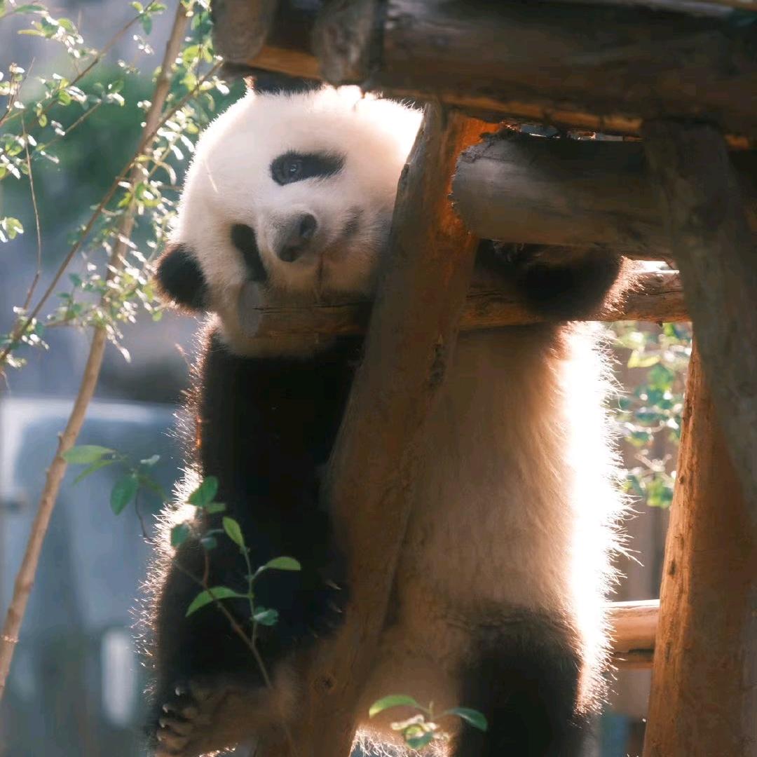 迷😘糊😉