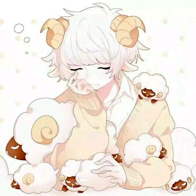 我可是老羊