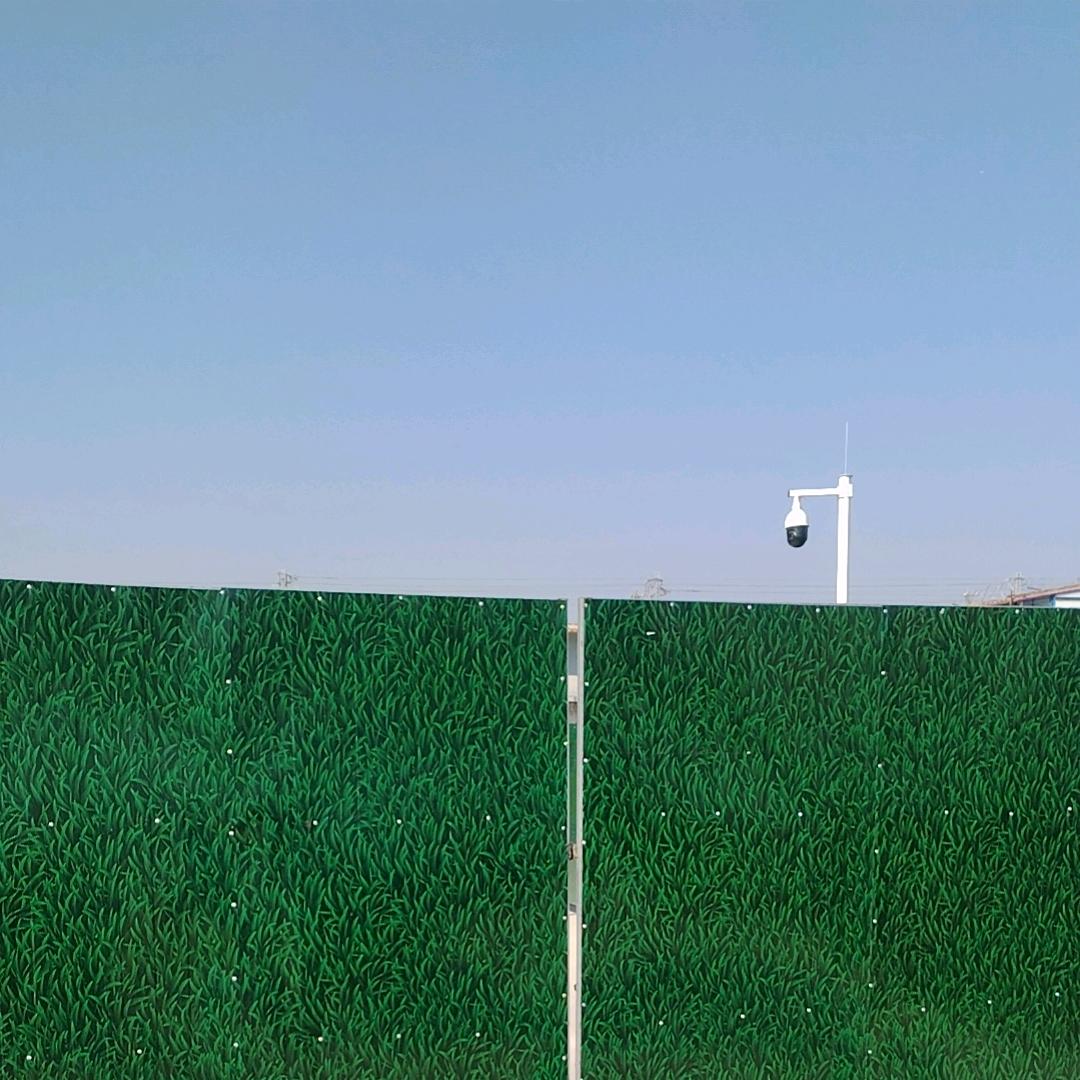 麦宝
