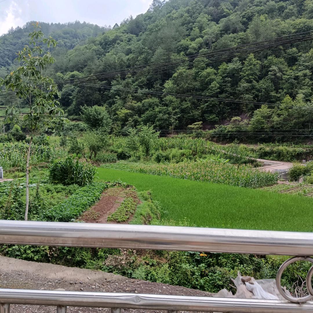 @笑傲浆糊