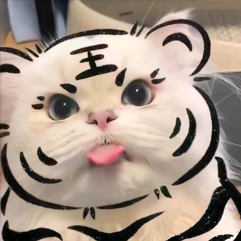 ❾❺❷❼