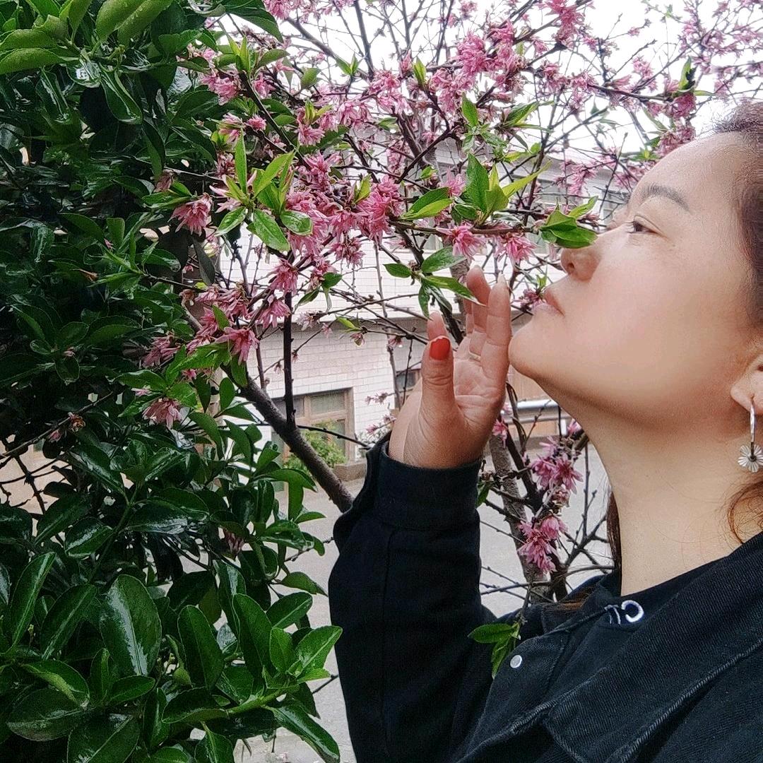 汐汐奶奶:《开播没定时间》