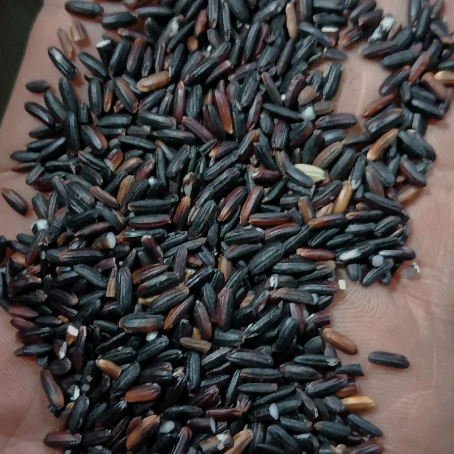 胜利粮食(三老板)