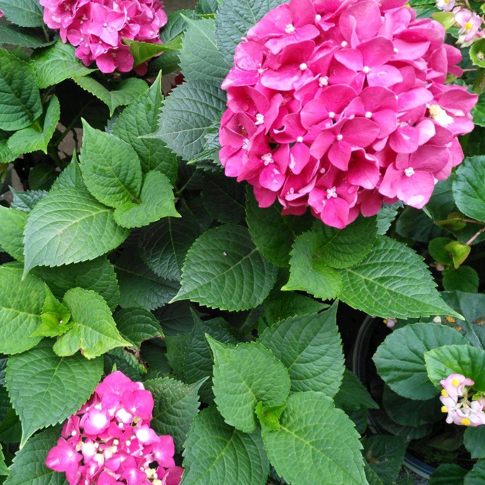 汪梓萌，我的快乐