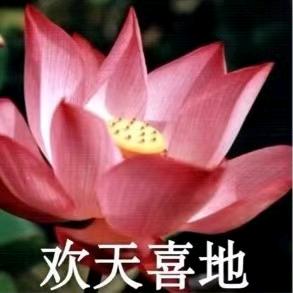小白菜🌹