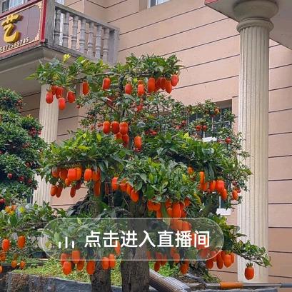 @@回不去的昨天