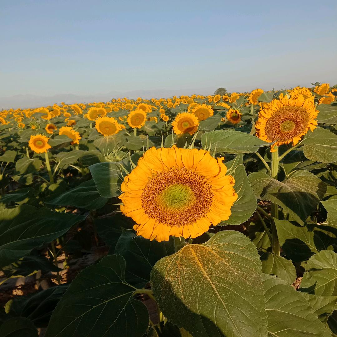 有你我才开心😀