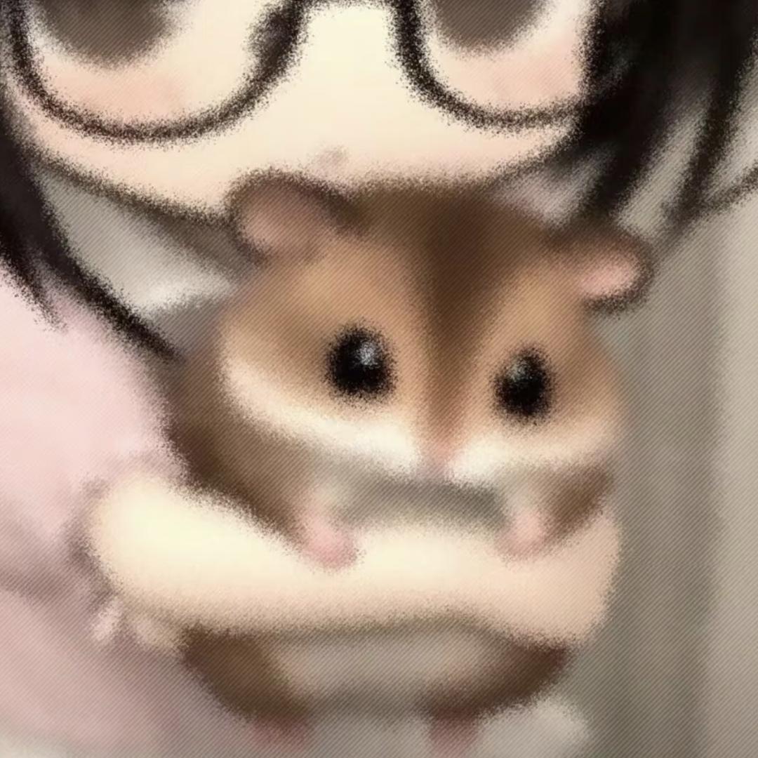 家猫做家务