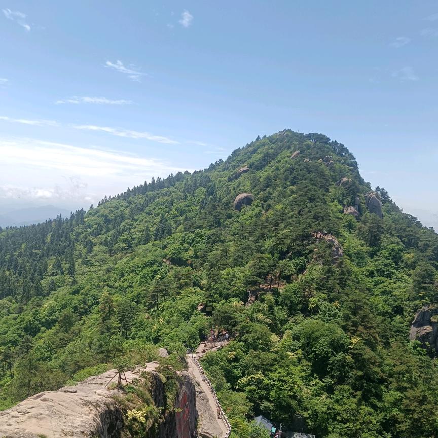 小王。没烦恼