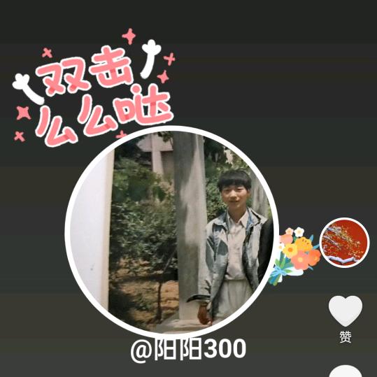 阳阳300