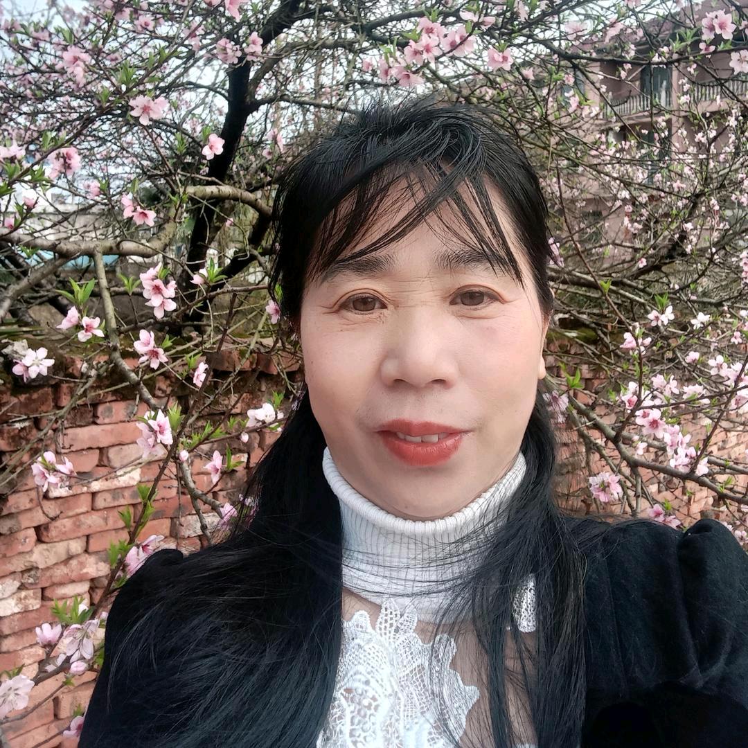 细香窗帘沙发套店